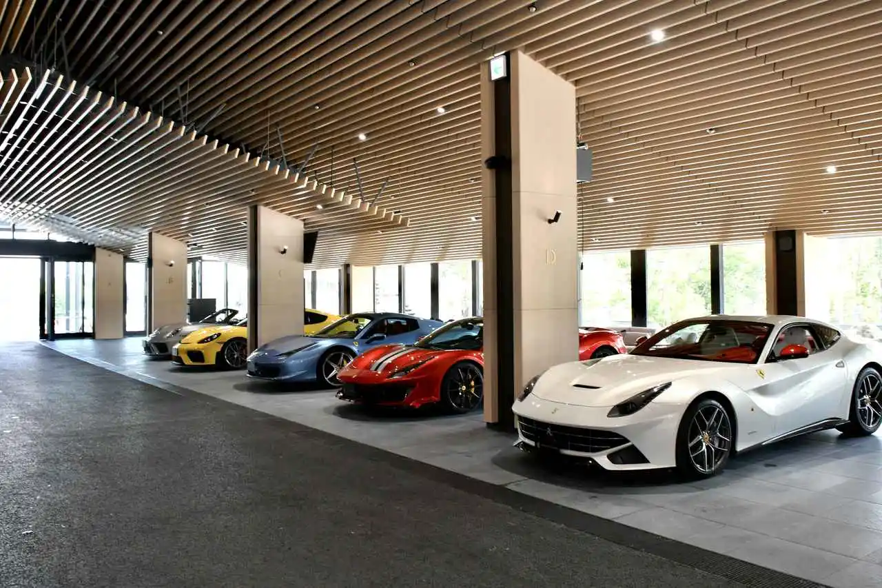 THE MAGARIGAWA CLUB
